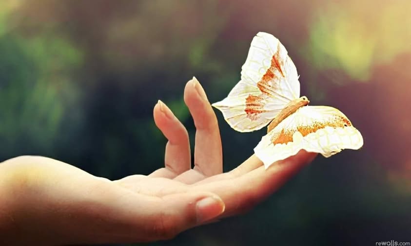 Бабочка на пальцах руки